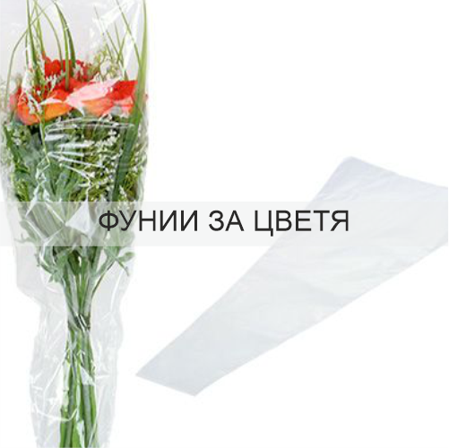 ФУНИИ